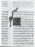 Anonimo italiano sec. XIV , Iniziale E, Iniziale decorata, Motivo decorativo con animali fantastici, Motivi decorativi fitomorfi