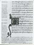 Anonimo italiano sec. XIV , Iniziale V, Iniziale decorata, Motivi decorativi con figure fantastiche, Motivi decorativi fitomorfi