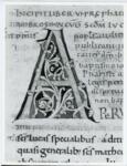 Anonimo italiano sec. XII , Iniziale A, Iniziale decorata, Motivi decorativi fitomorfi