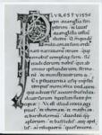 Anonimo italiano sec. XII , Iniziale P, Iniziale decorata, Motivi decorativi fitomorfi