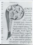 Anonimo italiano sec. XI , Iniziale P, Iniziale figurata, Pesce, Motivi decorativi fitomorfi