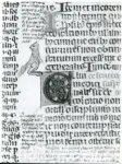 Anonimo italiano sec. XIV , Iniziale C, Iniziale decorata, Motivo decorativo zoomorfo, Motivi decorativi geometrici
