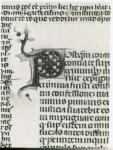 Anonimo italiano sec. XIV , Iniziale P, Iniziale decorata, Motivi decorativi geometrici, Motivi decorativi fitomorfi