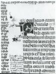 Anonimo italiano sec. XIV , Iniziale P, Iniziale decorata, Motivi decorativi fitomorfi