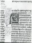 Anonimo italiano sec. XIV , Iniziale A, Iniziale decorata, Motivi decorativi fitomorfi