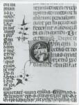 Anonimo italiano sec. XIV , Iniziale E, Iniziale abitata, Motivo decorativo zoomorfo, Motivi decorativi fitomorfi