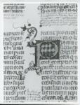 Anonimo italiano sec. XIV , Iniziale P, Iniziale decorata, Motivo decorativo zoomorfo, Motivi decorativi fitomorfi, Motivo decorativo geometrico