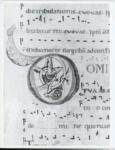 Anonimo italiano sec. XII , Iniziale D, Iniziale decorata, Motivi decorativi vegetali e zoomorfi