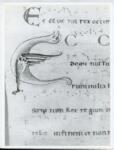 Anonimo italiano sec. XII , Iniziale E, Iniziale figurata, Motivo decorativo zoomorfo