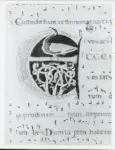 Universit&agrave; di Pisa. Dipartimento di Storia delle Arti , Anonimo italiano - sec. XII, inizio - Lucca, Biblioteca Capitolare Feliniana, Ms. 602, f. 211r, particolare