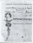 Anonimo italiano sec. XII , Iniziale I, Iniziale figurata, Motivi decorativi fitomorfi, Testa di giovane uomo