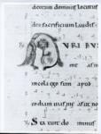 Anonimo italiano sec. XII , Iniziale A, Iniziale figurata, Motivi decorativi vegetali e zoomorfi
