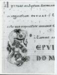 Anonimo italiano sec. XII , Iniziale S, Iniziale figurata, Motivi decorativi vegetali e zoomorfi
