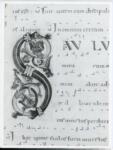 Anonimo italiano sec. XII , Iniziale S, Iniziale decorata, Motivi decorativi vegetali e zoomorfi