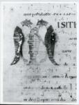 Anonimo italiano sec. XII , Iniziale M, Iniziale figurata, Motivo decorativo zoomorfo, Pesce