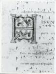 Anonimo italiano sec. XII , Iniziale H, Iniziale decorata, Motivi decorativi fitomorfi