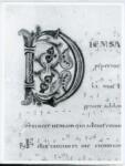 Anonimo italiano sec. XII , Iniziale D, Iniziale decorata, Motivi decorativi fitomorfi