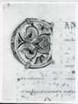 Anonimo italiano sec. XII , Iniziale C, Iniziale decorata, Motivi decorativi fitomorfi
