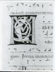 Anonimo italiano sec. XII , Iniziale M, Iniziale decorata, Motivi decorativi fitomorfi