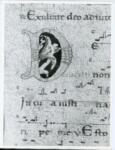 Anonimo italiano sec. XII , Iniziale D, Iniziale decorata, Motivi decorativi fitomorfi