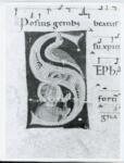 Anonimo italiano sec. XII , Iniziale S, Iniziale abitata, Santo Stefano, Motivo decorativo zoomorfo, Motivi decorativi geometrici