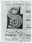 Anonimo italiano sec. XII , Iniziale S, Iniziale decorata, Motivi decorativi fitomorfi, Motivi decorativi geometrici