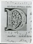 Anonimo italiano sec. XII , Iniziale D, Iniziale decorata, Motivi decorativi fitomorfi, Motivi decorativi geometrici