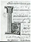 Anonimo italiano sec. XII , Iniziale L, Iniziale decorata, Motivi decorativi fitomorfi, Motivi decorativi geometrici, Intreccio