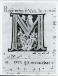 Anonimo italiano sec. XII , Iniziale M, Iniziale decorata, Iniziale abitata, Motivi decorativi vegetali e zoomorfi