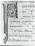Anonimo italiano sec. XII , Iniziale F, Iniziale decorata, Motivi decorativi fitomorfi, Motivi decorativi geometrici