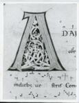 Anonimo italiano sec. XII , Iniziale A, Iniziale decorata, Motivi decorativi fitomorfi, Motivi decorativi geometrici