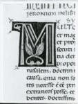 Marco di Berlinghiero , Iniziale M, Iniziale decorata, Motivo decorativo zoomorfo, Motivi decorativi geometrici e vegetali