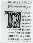 Marco di Berlinghiero , Iniziale N, Iniziale decorata, Motivi decorativi fitomorfi