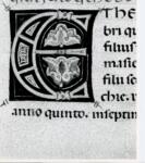 Marco di Berlinghiero , Iniziale E, Iniziale decorata, Motivi decorativi geometrici, Motivi decorativi fitomorfi