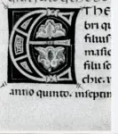 Marco di Berlinghiero , Iniziale E, Iniziale decorata, Motivi decorativi geometrici, Motivi decorativi fitomorfi