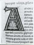 Marco di Berlinghiero , Iniziale A, Iniziale decorata, Motivi decorativi fitomorfi, Motivi decorativi geometrici