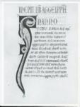 Marco di Berlinghiero , Iniziale I, Iniziale figurata, Motivo decorativo zoomorfo