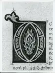 Marco di Berlinghiero , Iniziale D, Iniziale decorata, Motivi decorativi geometrici e vegetali