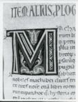 Marco di Berlinghiero , Iniziale M, Iniziale decorata, Motivi decorativi geometrici e vegetali