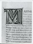Marco di Berlinghiero , Iniziale M, Iniziale decorata, Motivi decorativi fitomorfi