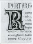 Marco di Berlinghiero , Iniziale R, Iniziale decorata, Motivi decorativi geometrici e vegetali