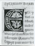 Marco di Berlinghiero , Iniziale E, Iniziale decorata, Motivi decorativi geometrici e vegetali