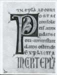 Marco di Berlinghiero , Iniziale P, Iniziale decorata, Motivi decorativi geometrici e vegetali