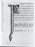 Marco di Berlinghiero , Iniziale P, Iniziale decorata, Motivi decorativi geometrici e vegetali