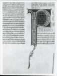Marco di Berlinghiero , Iniziale P, Iniziale abitata, Motivi decorativi geometrici e vegetali, Intreccio, Motivo decorativo zoomorfo, Uccello in gabbia