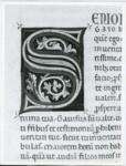 Marco di Berlinghiero , Iniziale S, Iniziale decorata, Motivi decorativi geometrici e vegetali