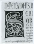 Marco di Berlinghiero , Iniziale S, Iniziale figurata, Motivi decorativi vegetali e zoomorfi