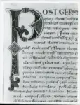 Anonimo italiano sec. XI , Iniziale P, Iniziale decorata, Motivi decorativi fitomorfi, Motivi decorativi a rosette, Intreccio