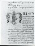 Anonimo italiano sec. XI , Iniziale M, Iniziale figurata, Motivi decorativi vegetali e animali