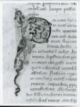 Anonimo italiano sec. XI , Iniziale P, Iniziale figurata, Motivo decorativo con animali fantastici, Motivi decorativi fitomorfi